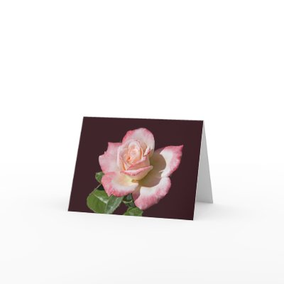 Rose 6440 Note Card by buffaloworks