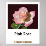 Rose 6440 Poster posters