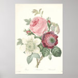Rose and Anemone Canvas Print