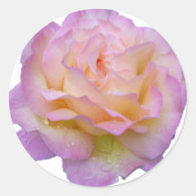 Rose and dew-drop round sticker