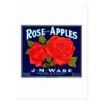 Rose Apples Wenatchee Washington Postcards