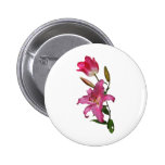 ROSE BADGES