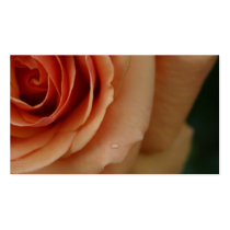 Rose Blank
