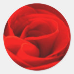 Rose Blossom Sticker