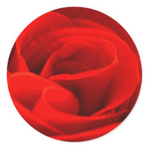 Rose Blossom Sticker stickers