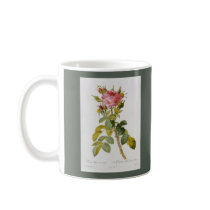 Rose Botanical Print - 'Rosa Bifera' by  Redoute Coffee Mug