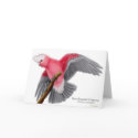 Rose Breasted Cockatoo Greeting Card