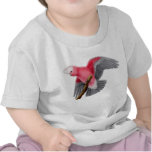 Rose Breasted Cockatoo Infant T-Shirt