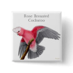 Rose Breasted Cockatoo Pin buttons
