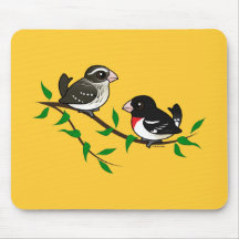 Rose-breasted Grosbeak Couple Mousepad