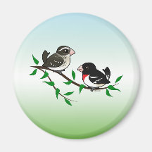 Rose-breasted Grosbeak Couple Refrigerator Magnet