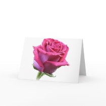 Rose Bud Card Pink