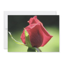 Rose Bud Custom Invites
