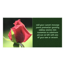 Rose Bud Photo Card Template