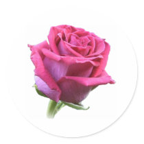 Rose Bud Sticker