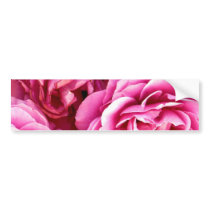 ROSE_ BUMPER STICKER