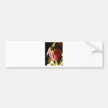 rose bumper sticker