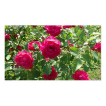 Rose Bush Business Card