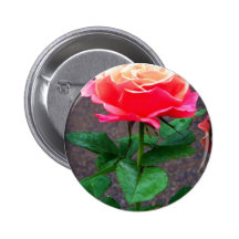Rose Button