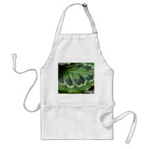 Rose Calathea Apron