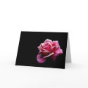 Rose cards