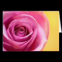 Rose Card cards