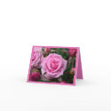 Rose Cards Pink Flowers Custom Greeting Card