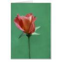 Rose-coloured Rose cards