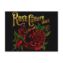 Rose Culture 1887 Post Card