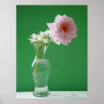 Rose Daisies Poster