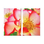 Rose Floral Garden Canvas Photography prints canvas prints