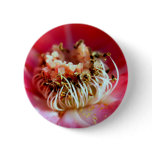 rose  flower buttons