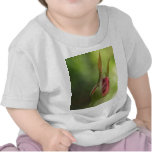 rose  flower t-shirts