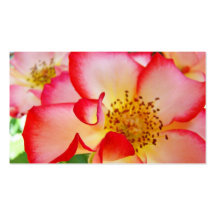 Rose Flowers Business Cards custom Botanical