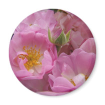 ROSE FLOWERS ROSES 4 MAGNET MAGNETS Gifts
