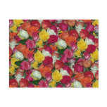rose galore postcards