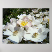 Rose Garden Floral Landscape art prints Summer