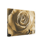 Rose Grayish Coloured Canvas Wall Art Print Gallery Wrapped Canvas