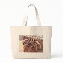 Rose Hair Tarantula Bags