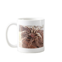 Rose Hair Tarantula Coffee Mugs