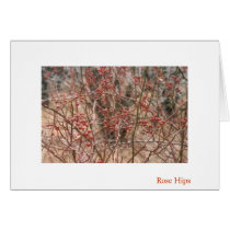 Rose Hips Greeting Cards