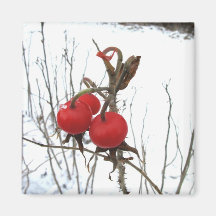 Rose Hips in Winter Fridge Magnet