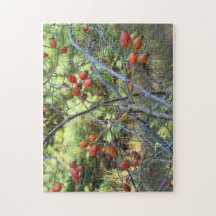 Rose Hips Jigsaw Puzzle