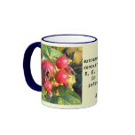 Rose hips mug