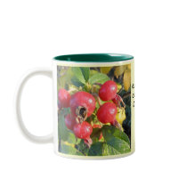 Rose hips mug