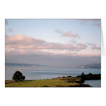 Rose-hued Golden Gate cards
