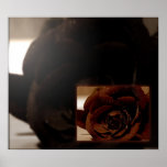 Rose II posters