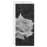 Rose in Black and White Personalized Rack Card