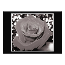 Rose in black, white & grey personalized invites