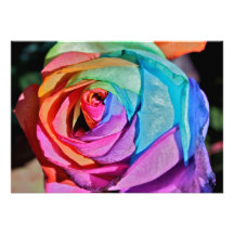 Rose in multi-colours Invitation